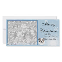 Australian Shepherd - Blue Merle Portrait Photo Cards