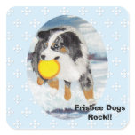 Australian Shepherd - Blue w/ White Diamond Square Stickers