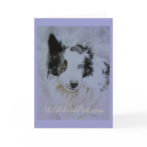 Australian Shepherd Border Collie greeting card by Spaziani Australian Shepherd Border Collie greeting card