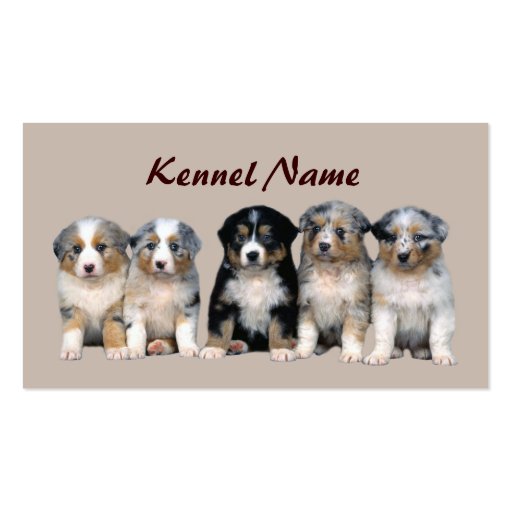 Australian Shepherd Breeder Business Card