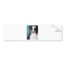 Australian Shepherd Bumper Stickers