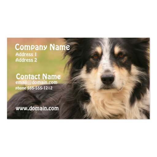 Australian Shepherd Business Card