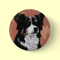 Australian Shepherd buttons