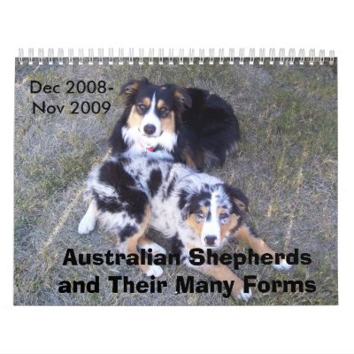 Australian Shepherd Calendar by ashlee_kitten