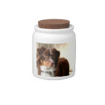 Australian Shepherd Candy Jar