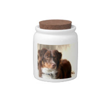 Australian Shepherd Candy Jar