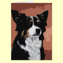 Australian Shepherd cards