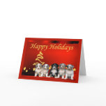 Australian Shepherd Christmas Card Stars