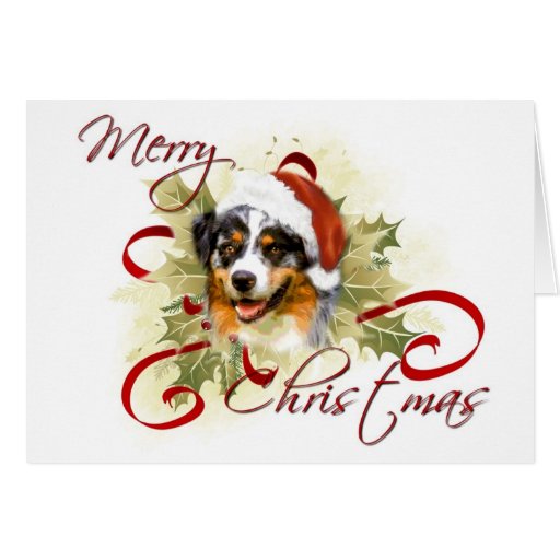 Australian Shepherd Christmas Cards Zazzle