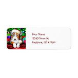Australian Shepherd Christmas Labels