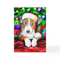 Australian Shepherd Christmas Open Gifts Greeting Card