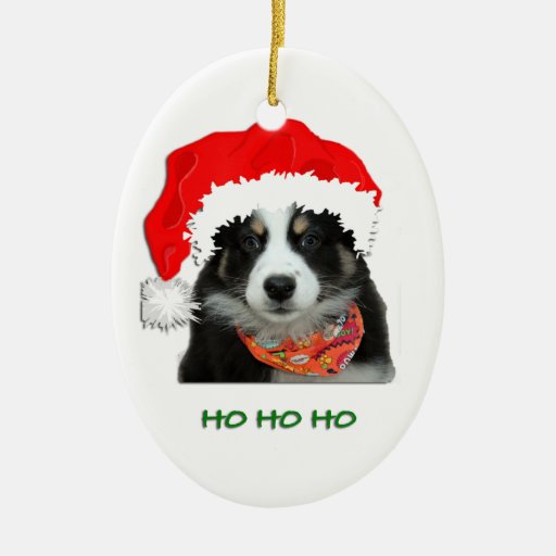 australian shepherd christmas ornament zazzle australian shepherd christmas ornament zazzle