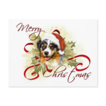 Australian Shepherd Christmas Postcards