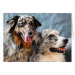 Australian Shepherd Classic Photo Greeting Card cards