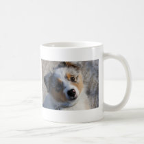 Australian Shepherd mugs