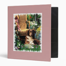 Australian Shepherd Dog Art 3 Ring Binders