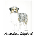 Australian Shepherd Dog Art Lond sleeved Shirt