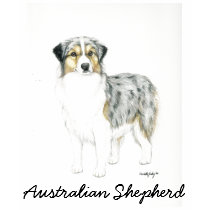 Australian Shepherd Dog Art Lond sleeved Shirt