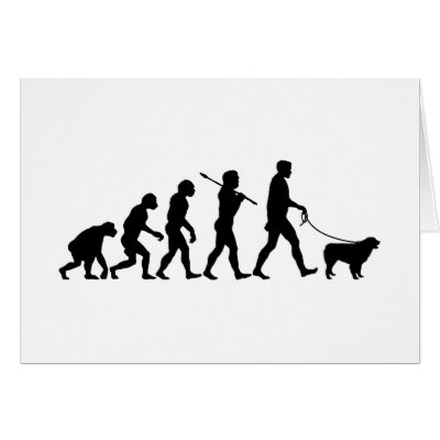 Australian Shepherd Dog Greeting Cards by Pawdboy
