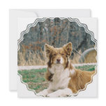 Australian Shepherd Dog Invitation