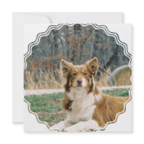 Australian Shepherd Dog Invitation