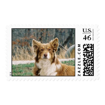 Australian Shepherd Dog Postage Stamp by DogPoundGifts