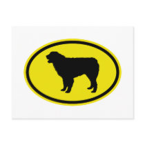 Australian Shepherd Dog Post Card