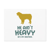 Australian Shepherd Dog Postcard