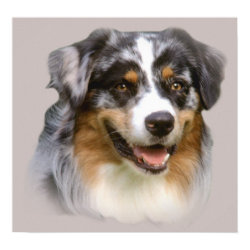 Australian Shepherd Fabulous Print print