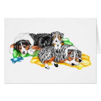 Australian Shepherd Family Nap Cards by DanesRUs