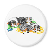 Australian Shepherd Family Nap magnets by DanesRUs Australian Shepherd Family Nap magnets