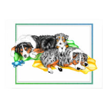 Australian Shepherd Family Nap Poster posters