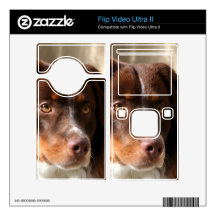 Australian Shepherd Flip Ultra II Skins