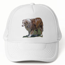 Australian Shepherd Gift hats
