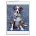 Australian Shepherd Greeting/Note Card