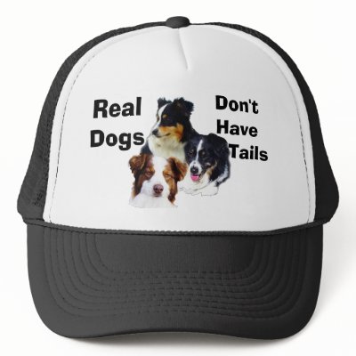 Australian shepherd mesh hats by knewfy