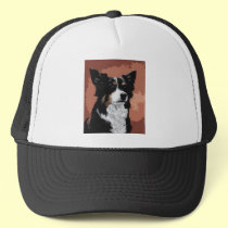 Australian Shepherd hats