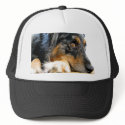 Australian Shepherd hats by pnloverme Australian Shepherd hats