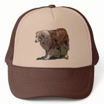 Australian Shepherd Hat hats