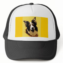 Australian Shepherd Hats