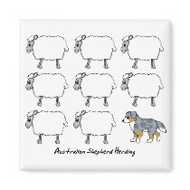 Australian Shepherd Herding Sheep Magnet