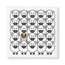 Australian Shepherd in the Sheep magnets