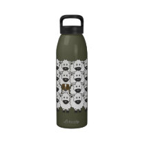 Australian Shepherd in the Sheep water bottles