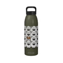 Australian Shepherd in the Sheep water bottles
