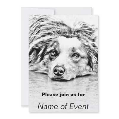 AUSTRALIAN SHEPHERD INVITES by Dog_Lovers
