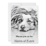 AUSTRALIAN SHEPHERD INVITES