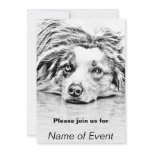 AUSTRALIAN SHEPHERD INVITES
