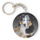 Australian Shepherd Key Chains