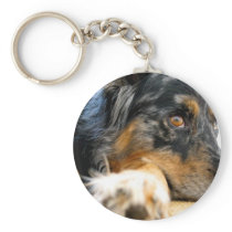 Australian Shepherd Key Chain