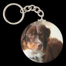 Australian Shepherd keychain keychains